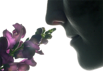 scents